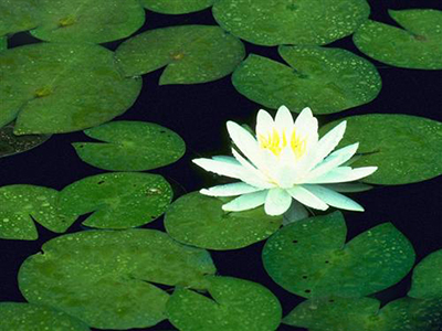 如何提升銷售業績